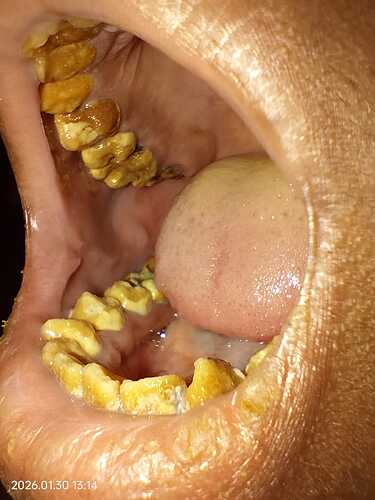 72be5176-f509-4de7-8532-ff8d99ea2929