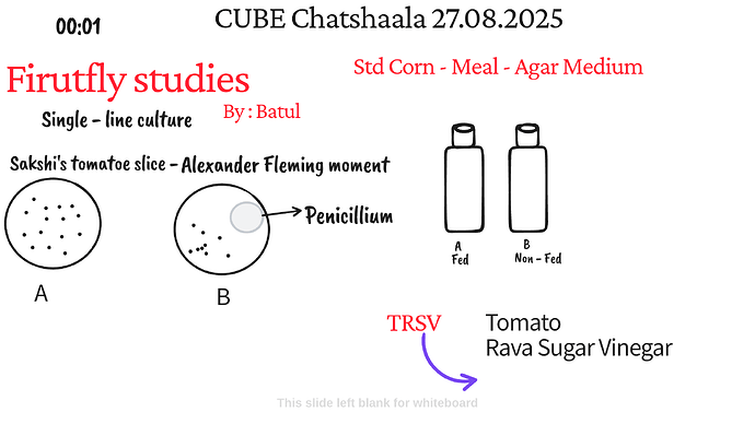 Presentation_CUBE chatShaala_2025-08-27T15_54_56.117Z