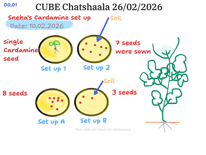 Presentation__2026-02-26T14_42_50.673Z