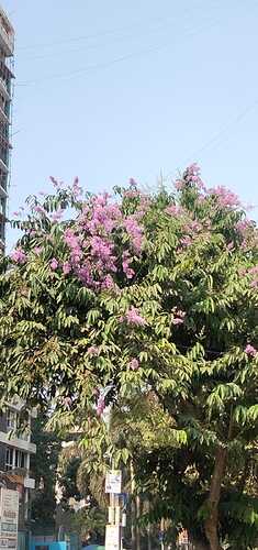IMG-20250408-WA0013