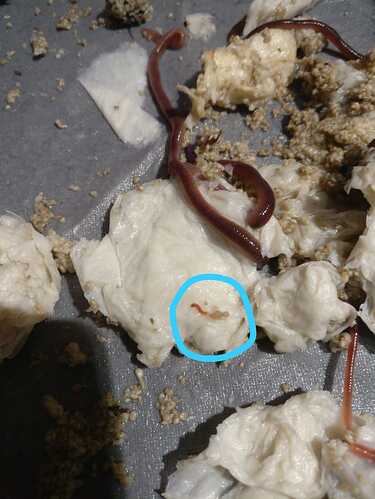 IMG-20200229-WA0012