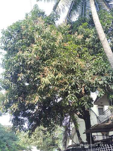 WhatsApp Image 2024-12-09 at 10.08.16 AM