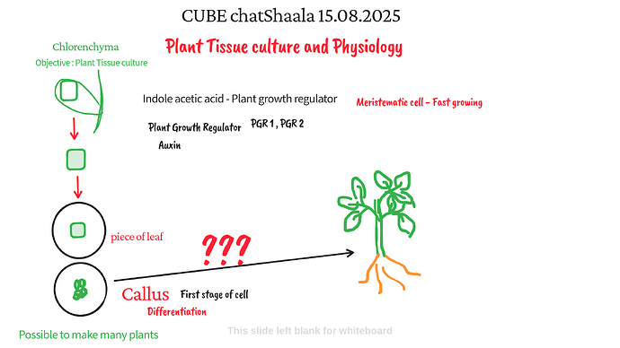 Presentation_CUBE chatShaala_2025-08-15T16_07_42.827Z
