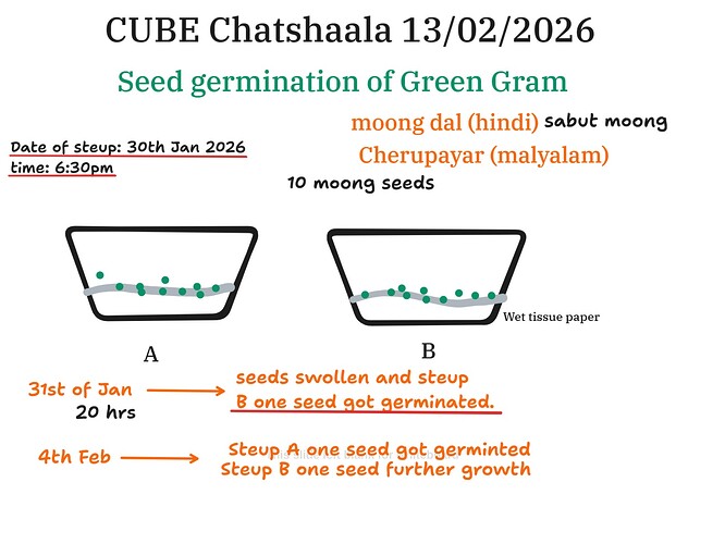 ef99e2ff-ec85-4521-ac0b-2b9e6c60e2b2