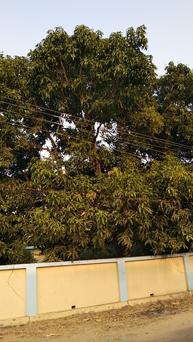 IMG-20250118-WA0042