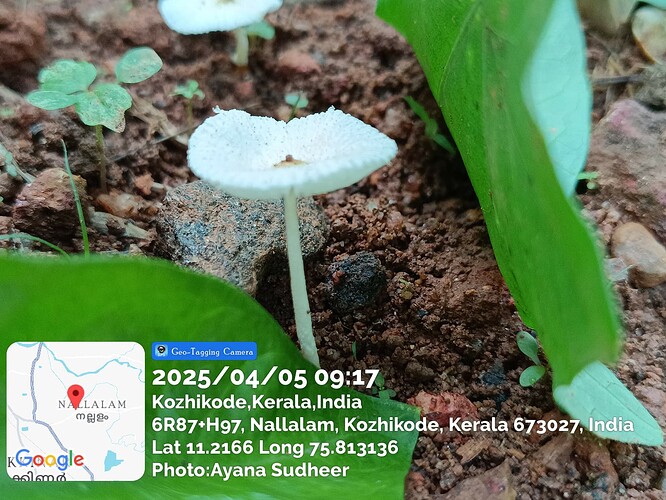 20250405_91730AM