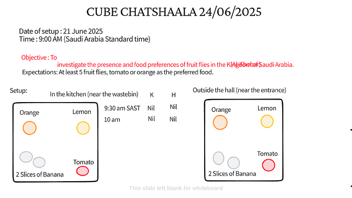 Presentation_CUBE chatShaala_2025-06-24T16_03_43.040Z