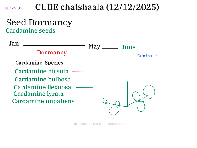 Presentation__2025-12-12T16_02_39.447Z