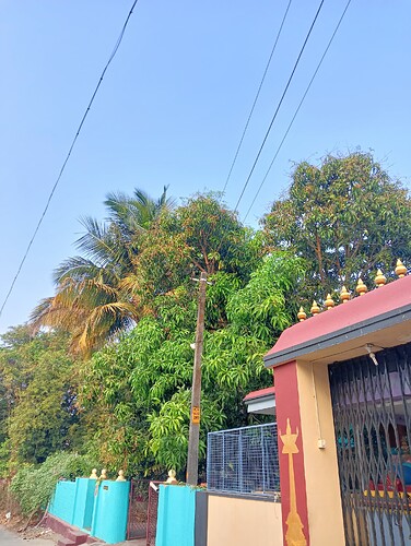IMG-20250118-WA0031