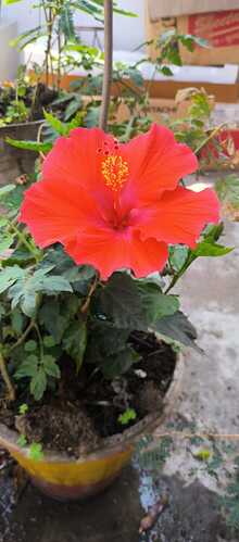 IMG-20250318-WA0004