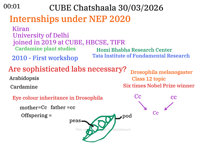 Presentation__2026-03-30T15_03_50.063Z