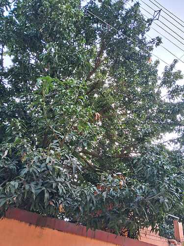 IMG-20250121-WA0177