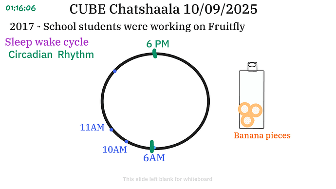 Presentation__2025-09-10T16_09_21.409Z