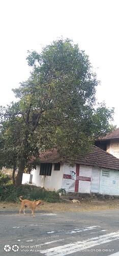 IMG-20250108-WA0109