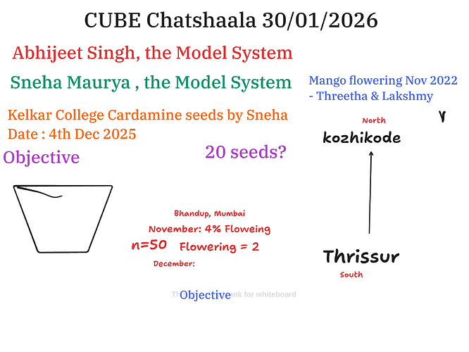 Presentation__2026-01-30T16_08_52.714Z