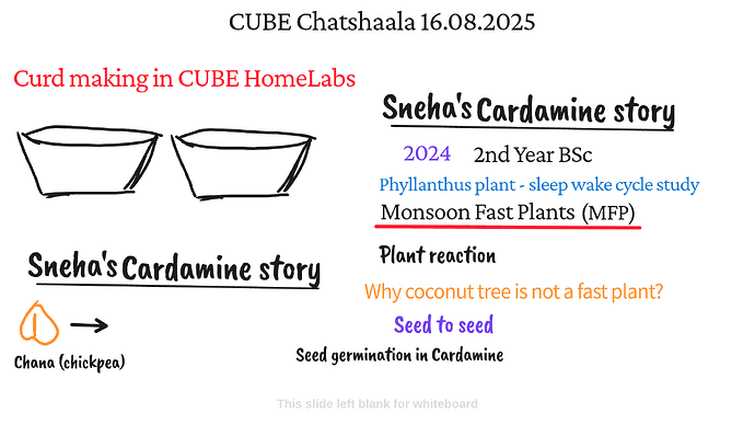 Presentation_CUBE chatShaala_2025-08-16T16_11_46.301Z