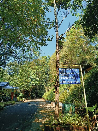 Picsart_25-11-07_18-42-16-535