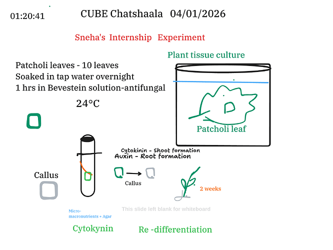 Presentation__2026-01-04T16_07_25.663Z