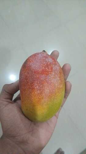 IMG-20250514-WA0003