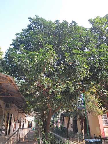 IMG-20250120-WA0039