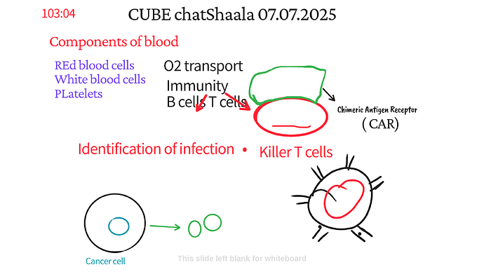 Presentation_CUBE chatShaala_2025-07-07T16_08_39.484Z