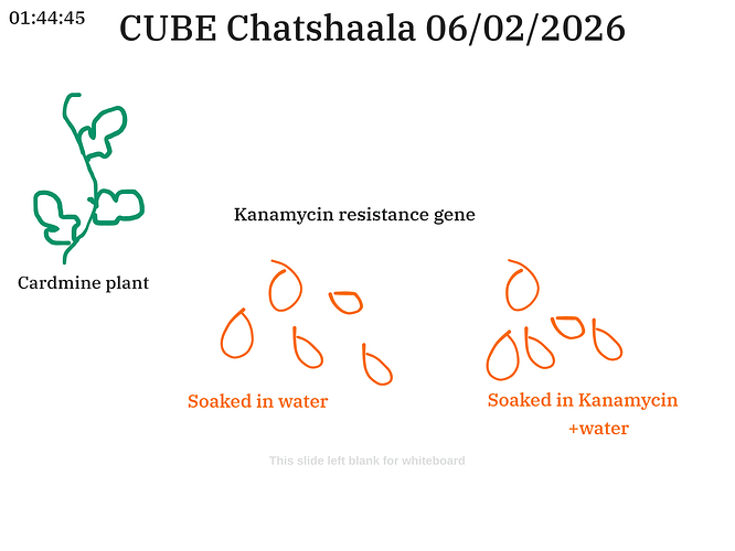 Presentation__2026-02-06T16_03_02.610Z