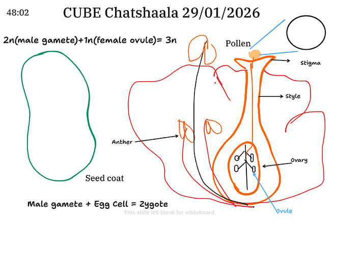 Presentation__2026-01-29T15_45_16.470Z