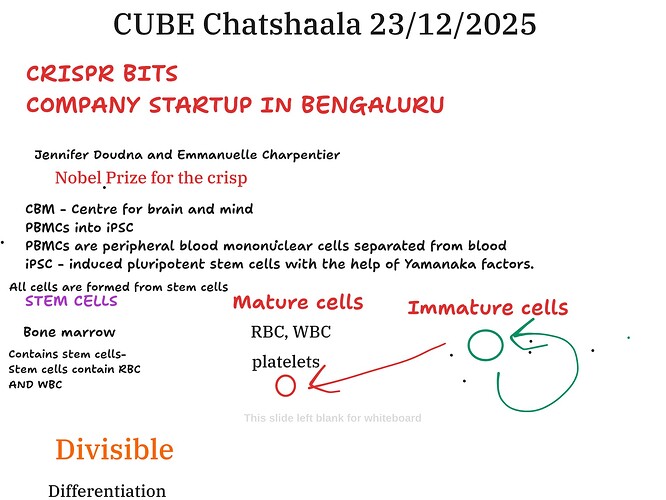 Presentation__2025-12-23T15_15_19.572Z