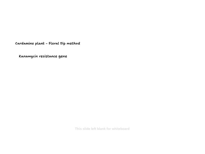 WhatsApp Image 2026-03-30 at 9.37.33 PM