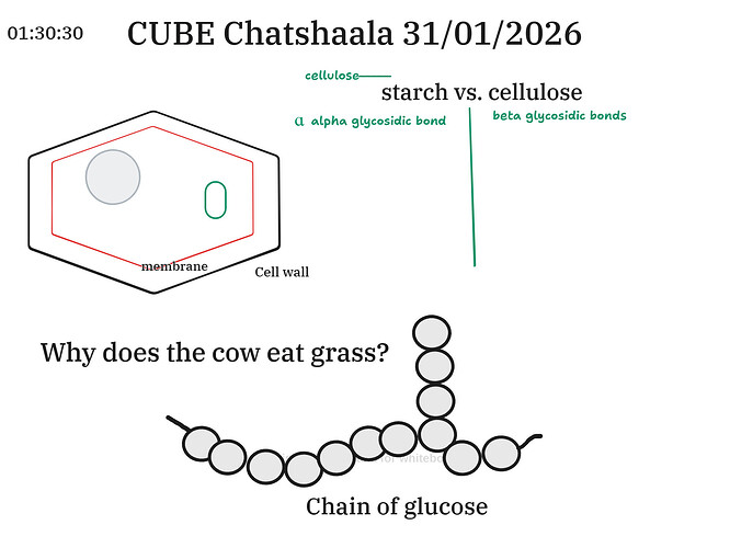 Presentation__2026-01-31T16_02_04.440Z