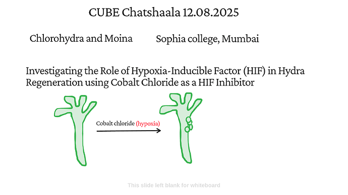Presentation_CUBE chatShaala_2025-08-12T16_08_52.731Z