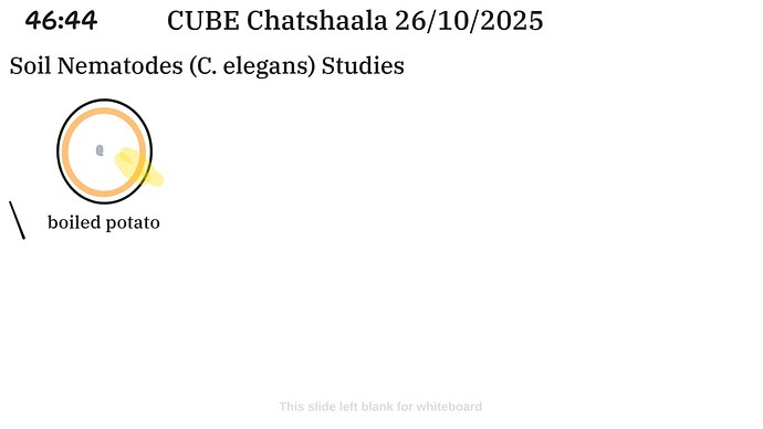 844558bb-78fc-4192-a6e0-b9fb93703bda