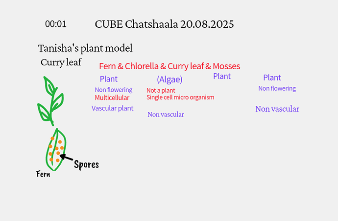 Presentation_CUBE chatShaala_2025-08-20T16_06_29.127Z