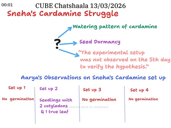 80a2f17b-17c5-4f19-ba4f-a0595858a93f