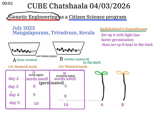 bd68b733-1743-4538-bad0-87efad04e8ba
