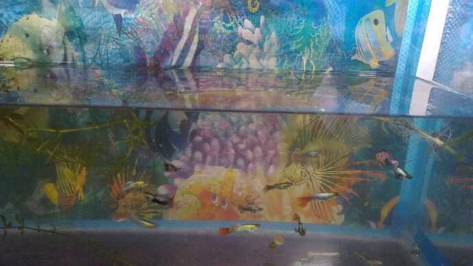IMG-20250208-WA0096
