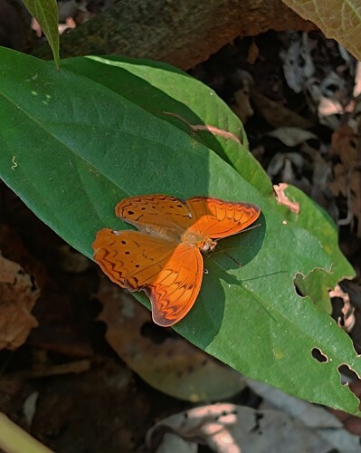 Picsart_26-03-08_18-07-34-627