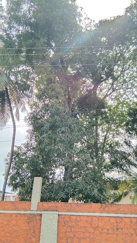 IMG-20250120-WA0061