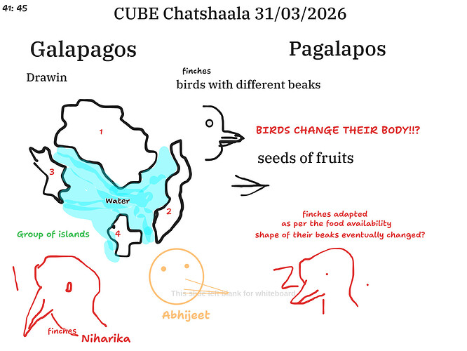 Presentation__2026-03-31T15_28_08.787Z