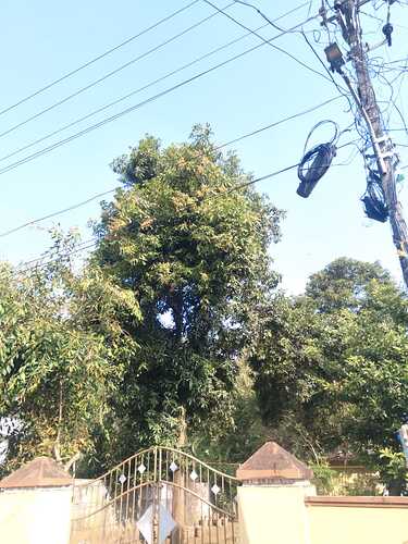 IMG-20250114-WA0101