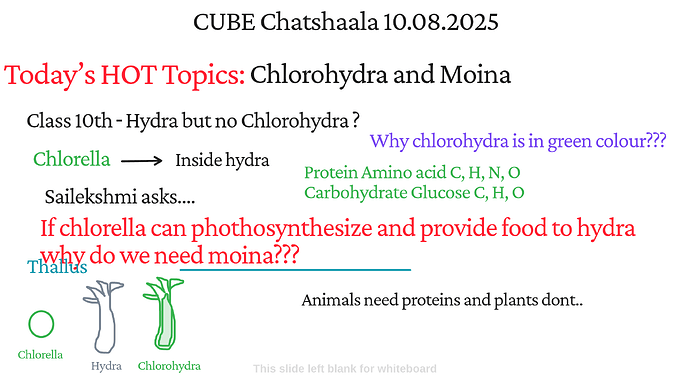 Presentation_CUBE chatShaala_2025-08-11T16_07_59.804Z