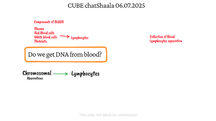 Presentation_CUBE chatShaala_2025-07-06T16_02_49.004Z