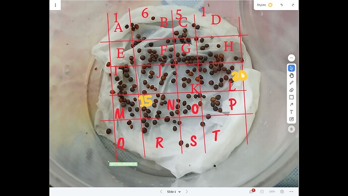 IMG-20250703-WA0015