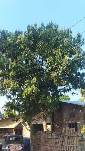 IMG-20250116-WA0072