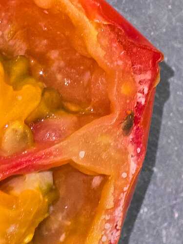tomato 2