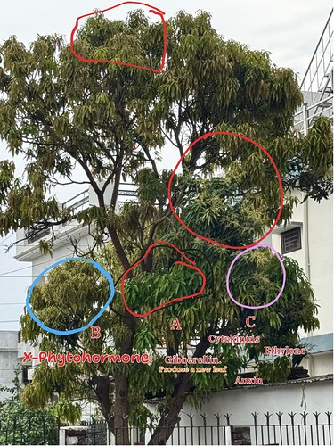 Presentation__2026-03-19T15_45_11.632Z