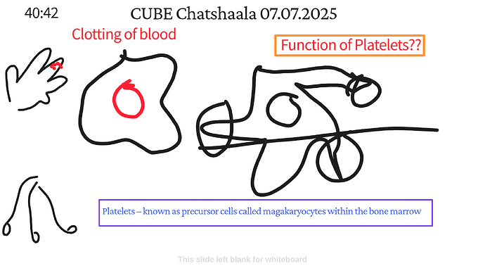 Presentation_CUBE chatShaala_2025-07-07T16_08_03.216Z