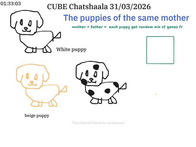 Presentation__2026-03-31T16_00_15.780Z