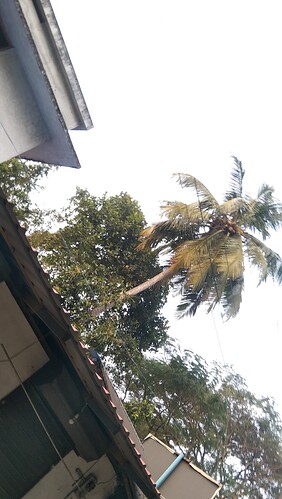 IMG-20250121-WA0024