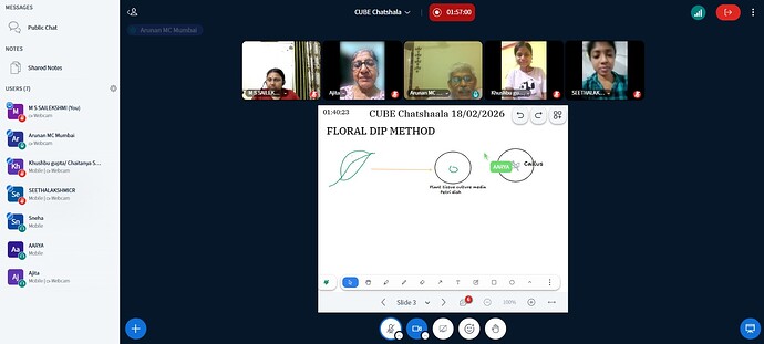 20415f28-86e1-4739-ae91-5522c9805773